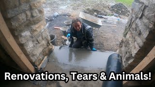 Renovation Tears amp Animals [upl. by Yras442]