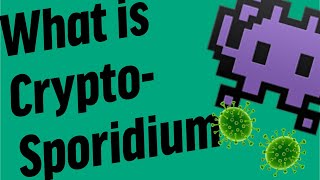 What is Cryptosporidium [upl. by Assertal]