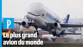 Beluga XL  comment Airbus fabrique le plus grand avion du monde [upl. by Dnaltiac]