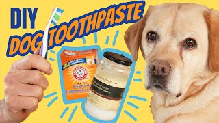 Toothpaste for Dogs DIY and Natural [upl. by Hathaway]