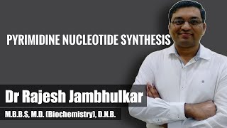 Pyrimidine nucleotide synthesis and degradation [upl. by Giesecke]