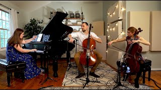 The Flower Duet from Lakmé  2 Cellos amp Piano [upl. by Nerret]