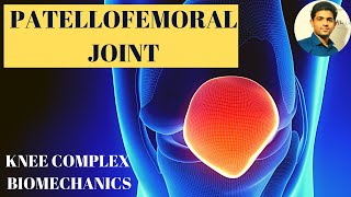 PATELLOFEMORAL JOINT PATELLA ANATOMY amp BIOMECHANICS [upl. by Anavrin]