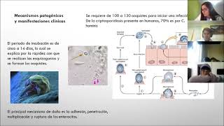 Cryptosporidium [upl. by Hitchcock]