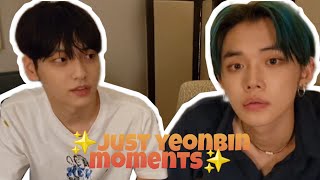 JUST YEONBIN MOMENTS [upl. by Kimberley]