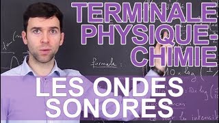 Les ondes sonores  PhysiqueChimie  Terminale  Les Bons Profs [upl. by Risteau]