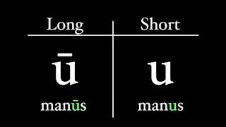 The Latin Alphabet  Vowel Pronunciation [upl. by Radloff]