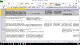 How to Create a Literature Matrix Excel [upl. by Narut]