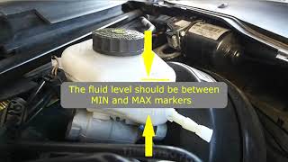 How To Check and Add Brake Fluid in BMW 3 Series F30 F31 320i 328i 330i 335i  Quick and Easy Steps [upl. by Zeni]