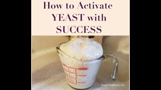 How to Activate Yeast with Success [upl. by Judas]