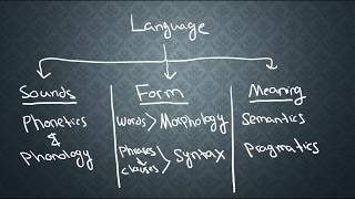 SEMANTICS1 What is Semantics [upl. by Nehtan]