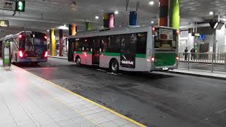 Transperth Buses at Elizabeth Quay Bus Station [upl. by Ailina]