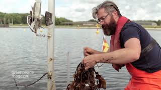 Nachhaltige Aquakultur Die Muschelzüchter der Ostsee [upl. by Nutter582]