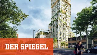 Boom beim nachhaltigen Bauen Die HolzWolkenkratzer kommen  DER SPIEGEL [upl. by Scholem236]