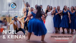 Nigel amp Krinah Bridal Entrance AFRICAN WEDDING DANCE [upl. by Chet]