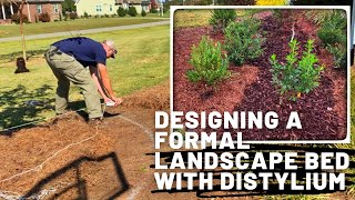 Exciting Landscape Makeover Designing a Formal Bed with Distylium [upl. by Yttap478]