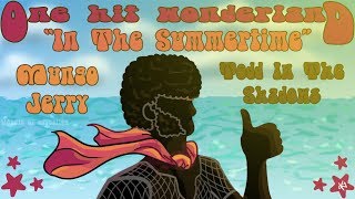 ONE HIT WONDERLAND quotIn the Summertimequot by Mungo Jerry [upl. by Jany]