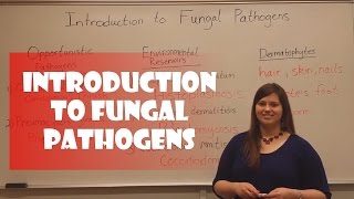 Introduction to Fungal Pathogens [upl. by Gerardo]