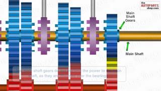 How Car Transmission System Works [upl. by Trev911]