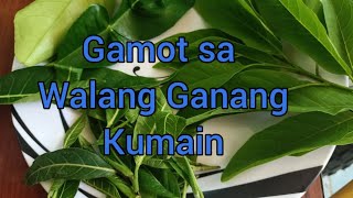 Gamot sa Walang Ganang Kumain  medicine for appetite  herbal  halamang gamot [upl. by Emanuele]