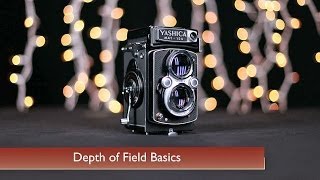 Depth of Field Basics [upl. by Euqinommod991]