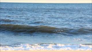 Reading the Beach  Understanding Waves amp Wave Action [upl. by Nafets]