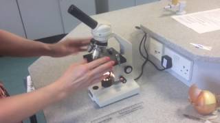 91 GCSE Biology Required Practical 1 Pt2  Wet Mount Slides [upl. by Nosreg]