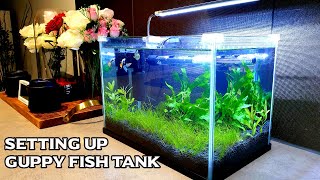 Setting Up Planted Guppy Aquarium [upl. by Anrahs604]