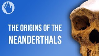 The Origins of the Neanderthals [upl. by Burdett31]