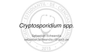 Cryptosporidium spp [upl. by Anawaj]