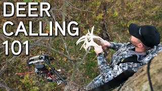 Deer Calling Tips  Rattling and Grunting To Bucks [upl. by Delastre]