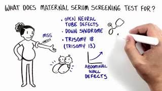 Maternal Serum Screening MSS [upl. by Lebezej858]