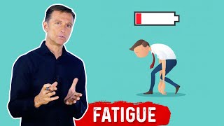 What Causes Fatigue – Dr Berg [upl. by Feeney]