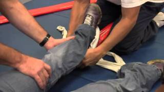 Tibialis Anterior Muscle Exercise [upl. by Nuyh]