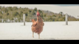 Crossroads  KFC Funny Commercial [upl. by Aneri917]