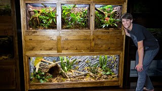 Easy DIY Plywood Reptile Enclosures [upl. by Nywra761]