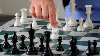 3 Basic Opening Strategy Principles  Chess [upl. by Slifka805]