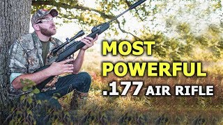 Most Powerful 177 Air Rifle in the Market 2021 [upl. by Aisyla]