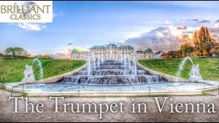 The Trumpet in Vienna [upl. by Yaral88]