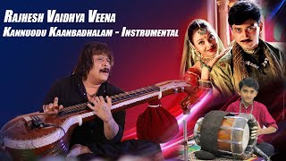 Rajhesh Vaidhya Veena  Kannuodu Kaanbadhalam  Instrumental  Tamil Film Super hit Songs [upl. by Nueormahc]