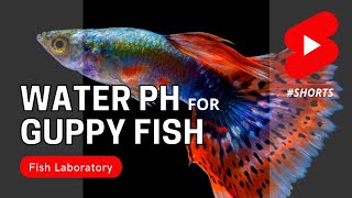 Water pH for Guppy Fish shorts [upl. by Harman]