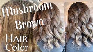 MUSHROOM BROWN HAIR TREND  Formulation For The Perfect Ashy Brown [upl. by Aicirtak]