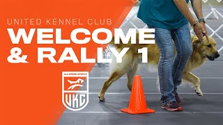 Learn the Beginner Rally Obedience Exercises  UKC Rally Obedience [upl. by Anaytat944]