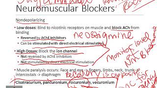 Pharmacology of Neuromuscular Blockers [upl. by Livvi]