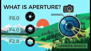 Camera Basics  Aperture [upl. by Netnert929]