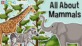 All About Mammals [upl. by Annaitsirk]