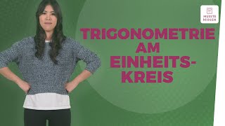 Trigonometrie anschaulich erklärt I musstewissen Mathe [upl. by Siwel]