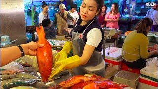 Sanya Fish Market  China  Hainan Island [upl. by Vitale]