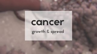 Cancer growth amp spread [upl. by Meter]