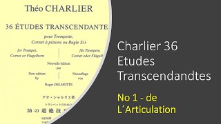 Théo Charliers 36 Études Transcendantes  No01 de L´Articulation  David Baldwin [upl. by Junia]